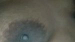 sheuly 1