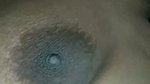 sheuly 1
