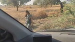 Stranger bhabhi give Handjob in car  cum out