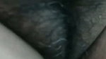 sheuly 9