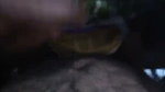 Aunty giving Blowjob Riding her husband cock