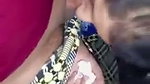 Bhabhi Blowjob devar dick