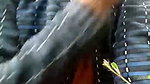 juhi chawla Stripchat72