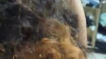 Beautiful girl give Blowjob nicely
