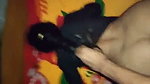 Girlfriend fuck hard in Doggy style with bf