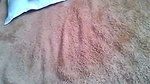 Husband licking pussy  wife giving Blowjob