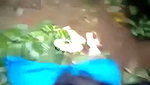Kerala girl undress give Blowjob  fuck