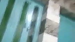 Man licking his wife pussy  suck boob
