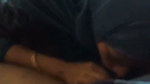 Muslim lady giving Blowjob to lover