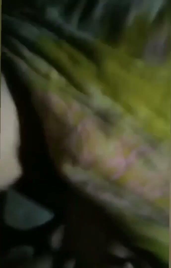 Frame 7