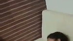 Stepsister fuck by neighbour brother
