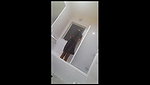 Filming My Real Cousin Shower – Movies