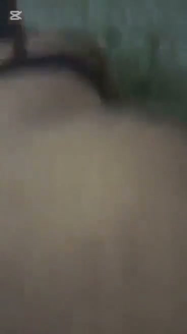 Frame 8
