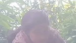 4 5884248033247371818