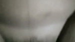 1000177624