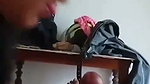Naughty wife sucking husband dick