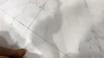 Phardra881 Stripchat