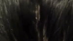 Beautiful girl giving Blowjob to his cousin brother