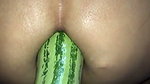 Bhabhi destroy her ass while putting big cucumber