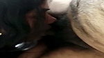Desi Couple Ka Private Room Mein Lund Chusa