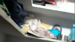 Aunty giving Blowjob to lover