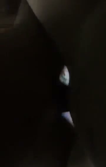 Frame 6