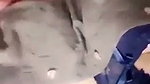 Awesome looking girl show her pussy on vc