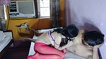 Hot wife giving Blowjob to neighbour uncle