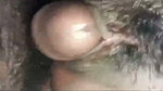 VID 20260622 WA0061