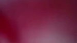 VID 20260619 WA0010