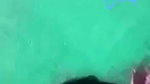 VID 20260611 WA0043