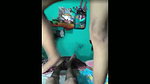 cam show 11