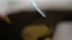 Bhabhi fuck with neighbour boy
