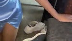 Mumbai girl give Blowjob  fuck Doggy