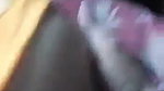 1000309605