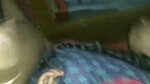 video 2022 08 22 14 37 421