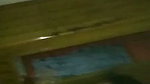video 2022 08 22 14 37 421