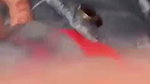Sexy girl giving Blowjob in card than fucked