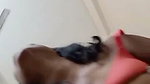 Sexy hot girl riding her uncle dick