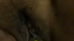 desi fun  31