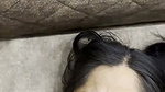 desi fun  33