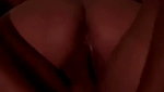 desi fun  1