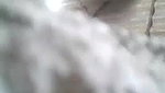 Indian Bhabhi In Shower – Movies