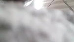 Indian Bhabhi In Shower – Movies