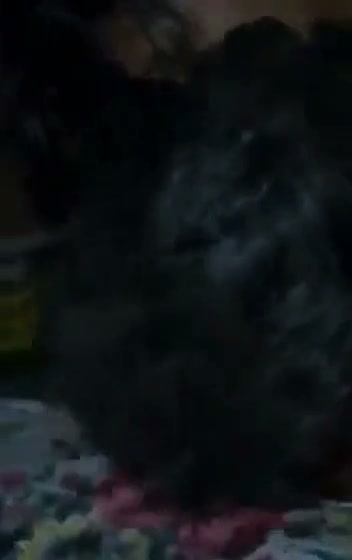 Frame 6