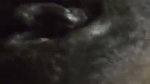 Hot girl masturbation  rubing pussy