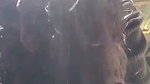 Assam boyfriend  gf fuck hard in Doggy