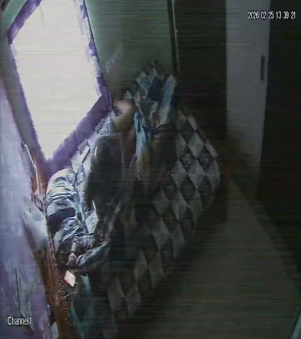 Frame 5