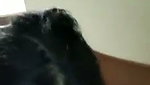Beautiful lady giving Blowjob
