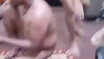 Silkbutt 11 7 2 56